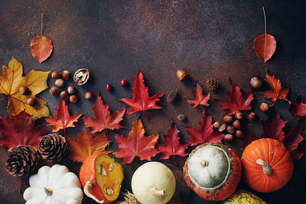 Syksyn tausta koristeellinen kurpitsa, tammenterhot, omenat, pähkinät ja syksyn lehdet tummalla kivipöydällä
 - Valokuva, kuva