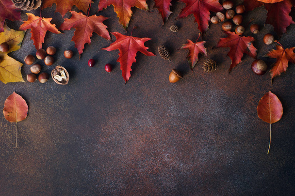 Autumn background with nuts, acorns, red autumn leaves and copy space - Fotó, kép