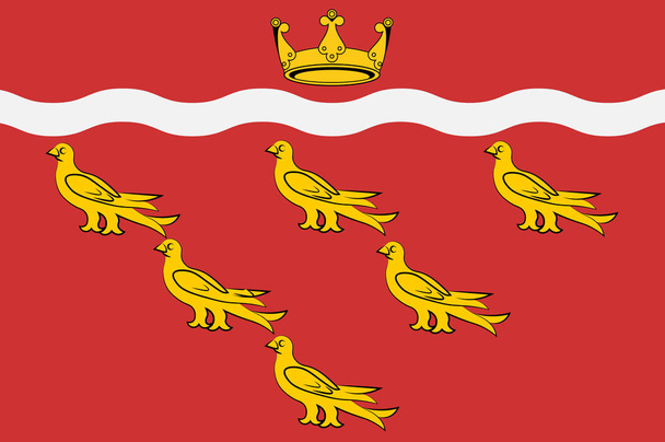Флаг Восточного Суссекса в Англии
 - Фото, изображение