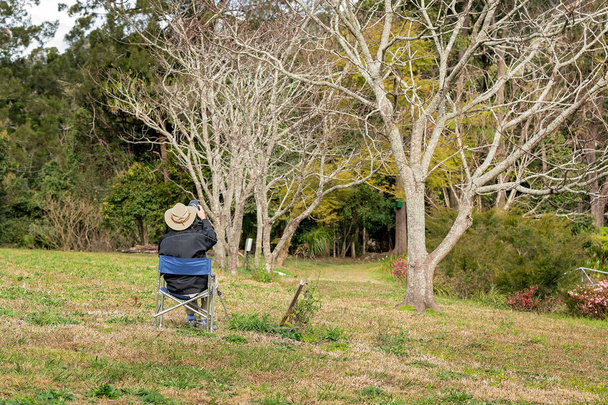Фотограф-пенсионер ловит птиц на деревьях
 - Фото, изображение