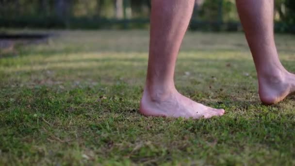 Bare feet of a man on soft grass of lawn - Záběry, video