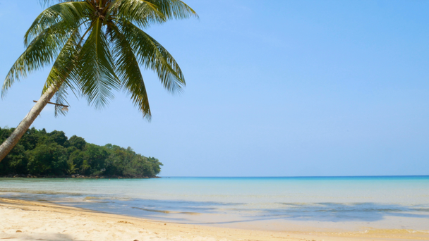 4 k krajiny tropického moře s kokosovým listím listí ve větru, pláž s bílým pískem a křišťálově čistou oceánskou vodou a modrou oblohu v letní sezóně se zvukem vlny - Záběry, video
