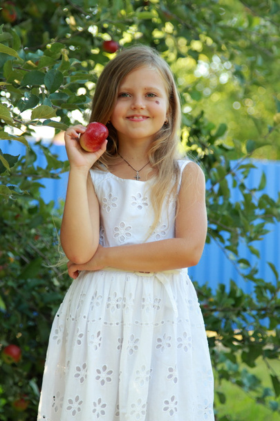 Little girl picks apples in an apple orchard - Foto, Imagem