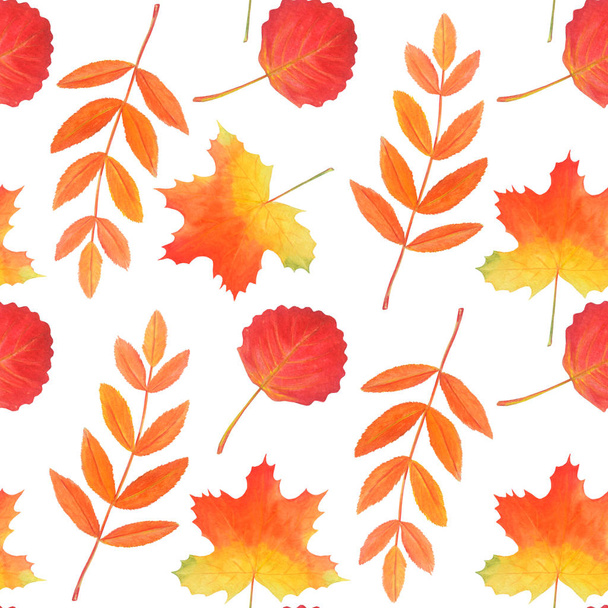 Seamless pattern of bright red autumn leaves. Original foliage background.  - Photo, Image