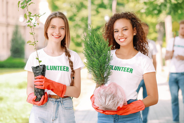 Female volunteers with young trees outdoors - Fotoğraf, Görsel