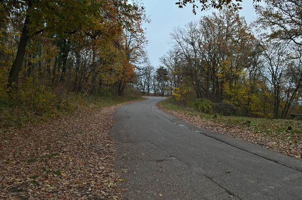 Empty mountain road at cloudy day during autumn time - Photo, Image