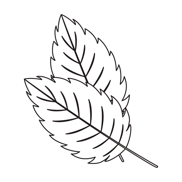 очертания листвы
 - Вектор,изображение