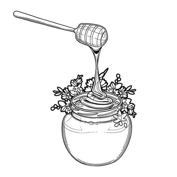 Γραφικό μπουκάλι μέλι διακοσμημένο με λουλούδια φαγόπυρο - Διάνυσμα, εικόνα