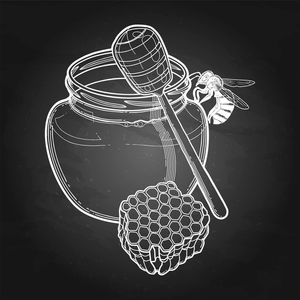 Grafische Honigflaschen der Dipper isoliert auf weißem Hintergrund - Vektor, Bild