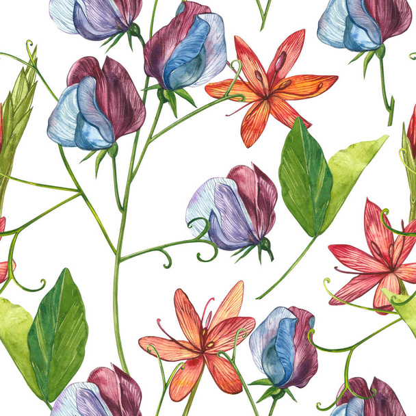 Seamless patterns. Watercolor set of Sweet Peas flowers and leaves, hand drawn floral illustration isolated on a white background. Collection garden and wild herb, flowers, branches. Botanical art. - 写真・画像