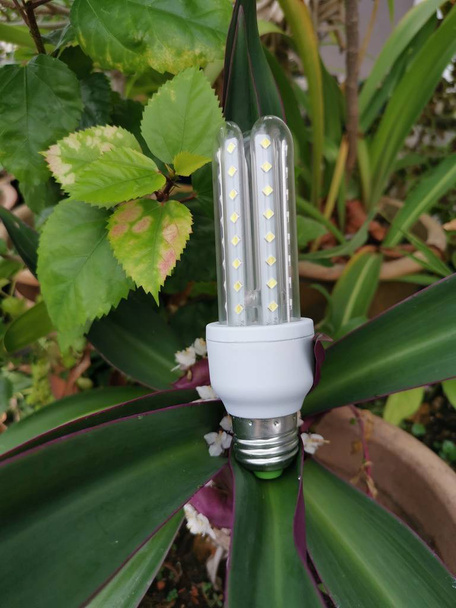 енергозбереження Біла світлодіодна лампа круглої або кукурудзяної форми
. - Фото, зображення