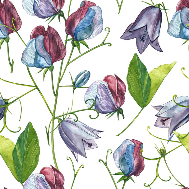 Seamless patterns. Watercolor set of Sweet Peas flowers and leaves, hand drawn floral illustration isolated on a white background. Collection garden and wild herb, flowers, branches. Botanical art. - Foto, Imagen