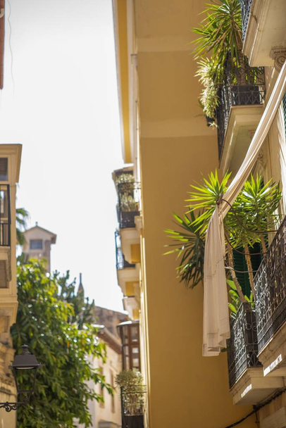 Vertical shot of an apartment balcony with plants on a sunny day - Φωτογραφία, εικόνα