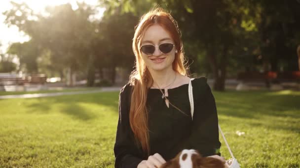 Beautiful red headed woman in black dress and sunglasses sitting on grass and playing with her spaniel dog. Happy time and enjoyment. Owner with lovely little dog outdoors. Sun on background and green - Кадры, видео