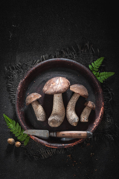 Various wild mushrooms on old clay plate - Photo, Image