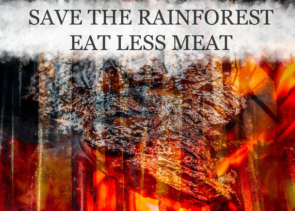 Barbekü ızgara üzerinde et köftesi ile Raging pinewood orman yangın - Yağmur ormanları kavramı kaydedin - Fotoğraf, Görsel