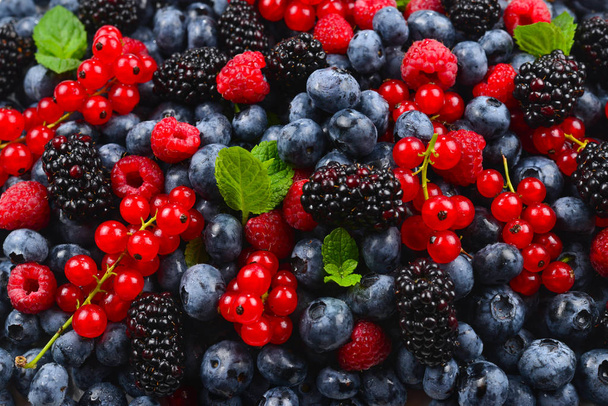 Blackberry, малина, черника, красная смородина и мята backgrou
 - Фото, изображение