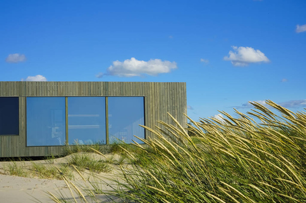 rectangular wooden house with big windows at the beach background. Wooden cabin on Baltic sea  against the background of green grass. - Zdjęcie, obraz
