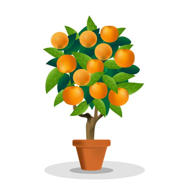 Vektor Aquarell Frucht Orangenzweig auf weißem Hintergrund - Vektor, Bild
