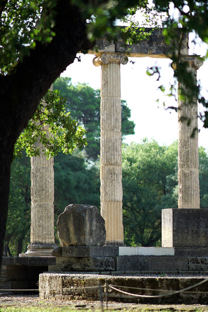 Restos de templos e oliveiras no sítio arqueológico de Olímpia
 - Foto, Imagem