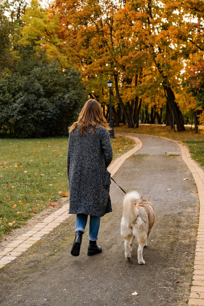 young female in autumn park walks with a husky dog. - Fotó, kép