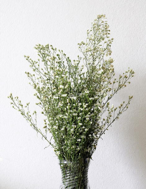 gedroogde boeket van witte bloemen in vaas - Foto, afbeelding