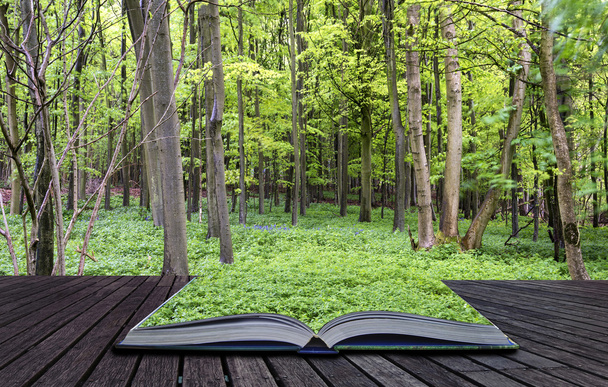 Kreative Konzeptseiten des Buches lebendigen üppig grünen Frühlingswald - Foto, Bild