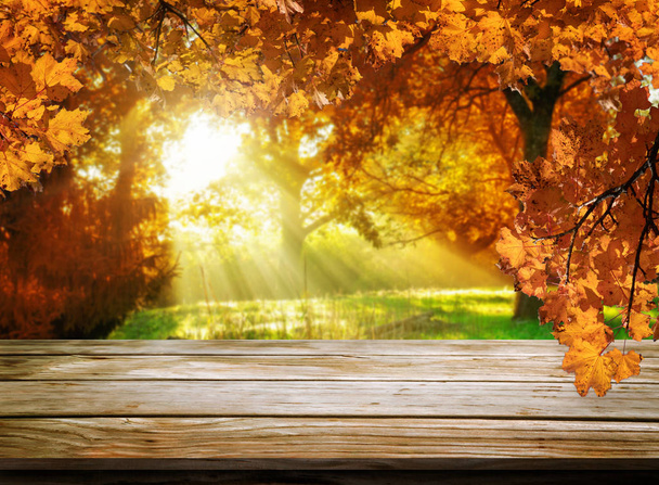 Деревянный стол в осеннем пейзаже с пустым пространством
. - Фото, изображение