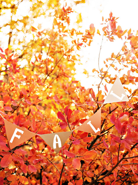 Greeting an autumn. - Photo, Image