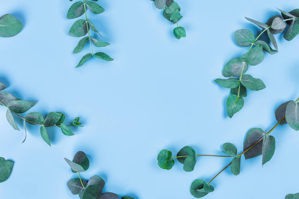 Beautiful sprigs of eucalyptus on blue background, top view. - Photo, Image