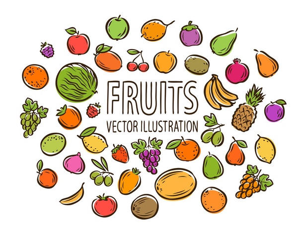 Fruit set isolated on white background. Vector illustration - Вектор,изображение