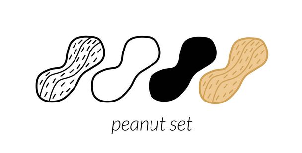Set de 4 cacahuetes lineales simples. Utilizable para embalaje, tarjetas, carteles, patrones. Ilustración vectorial
  - Vector, Imagen