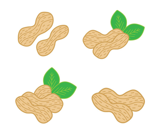 Maapähkinät eristetty asetettu. 4 pähkinänkuoressa sävellyksiä vihreät lehdet käyttökelpoinen pakkaus, bannerit, julisteita, kortteja. Vektoriesimerkki
 - Vektori, kuva