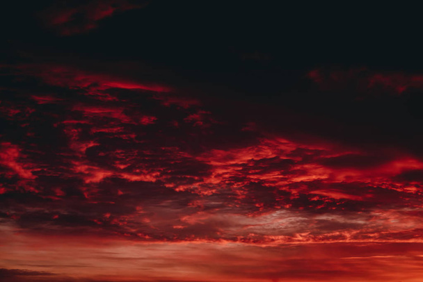 Tulinen punaverinen vampyyri. Hämmästyttävä lämmin dramaattinen tulipalo pilvinen taivas. Kirkas oranssi auringonvalo. Ilmakehän tausta auringonnousun pilvinen sää. Kova pilvisyys. Myrskypilvet varoittavat. Kopioi tila
. - Valokuva, kuva