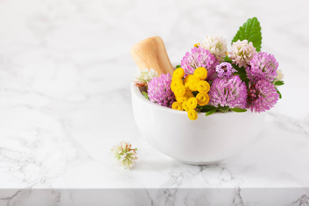 medical flowers herbs in mortar. alternative medicine. clover ta - Foto, immagini