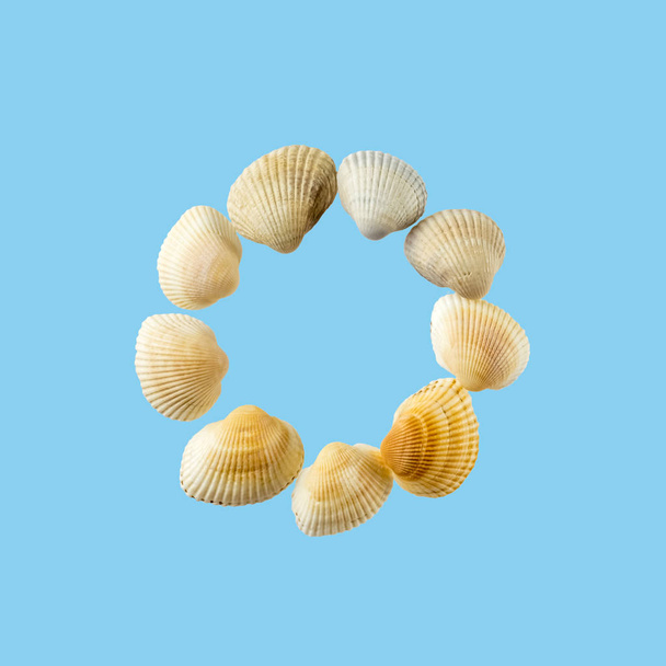 Letra "o" compuesta de conchas marinas, aislada sobre un fondo azul suave
 - Foto, imagen