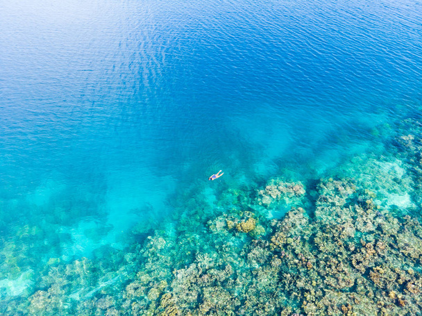 Gente aérea de arriba abajo haciendo snorkel en el arrecife de coral mar tropical caribeño, agua azul turquesa. Indonesia archipiélago de Wakatobi, parque nacional marino, destino turístico de viaje de buceo
 - Foto, Imagen