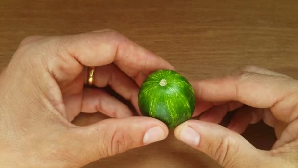 winzige Gurke auf den Ärmeln, aber die Gurke ist sehr ähnlich wie eine kleine Wassermelone oder Planet Erde auf den Händen des Menschen, das Leben des Planeten Erde in den Händen des Menschen - Filmmaterial, Video