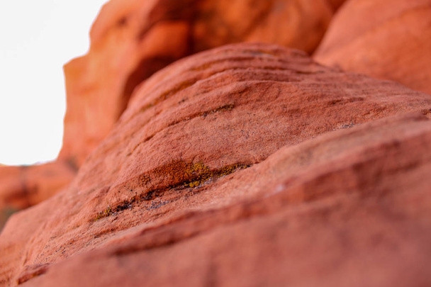 Gros plan sur la formation rocheuse dans le Red Rock Canyon, Nevada
 - Photo, image