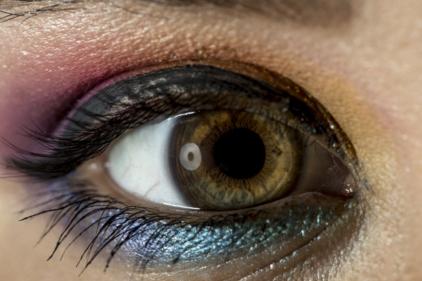 Крупный план красивого женского глаза
. - Фото, изображение