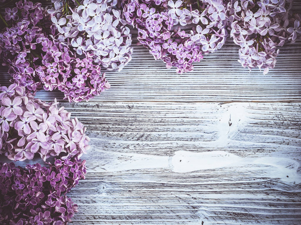 Красивые сиреневые цветы на деревянном фоне
 - Фото, изображение