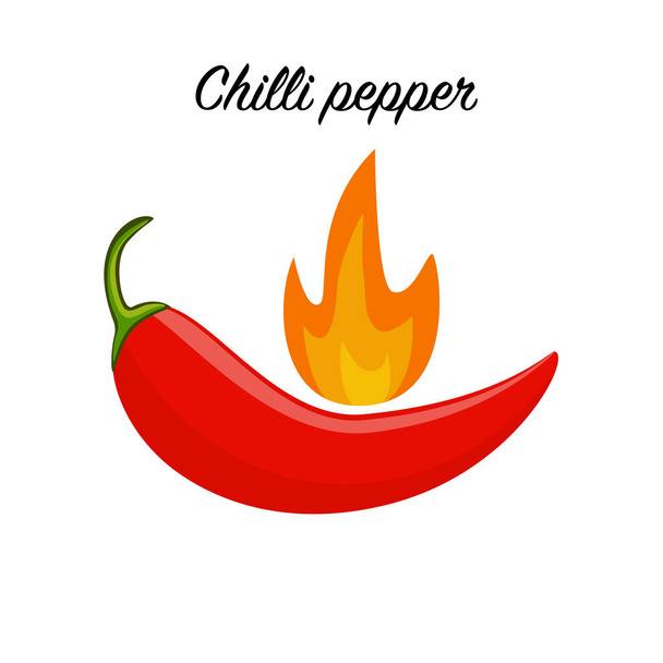 Red hot chilli pepper icon isolated on white background.  - Vector, Image