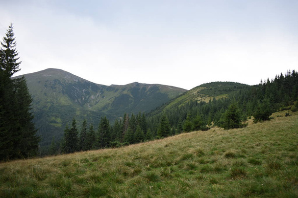 Ansicht beim Besteigen des Hoverla. Blick auf die Berge, Wälder und Wolken. Ukrainische Karpaten. - Foto, Bild