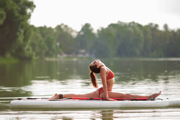 Young pretty fitness girl in swimwear is doing yoga on the SUP in the middle of the lake with a green forest in the background. - Valokuva, kuva