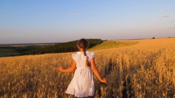 mutlu küçük kız ağır çekim alanındaki günbatımı bir arka plan üzerinde olgun buğday, uçuyor - Video, Çekim