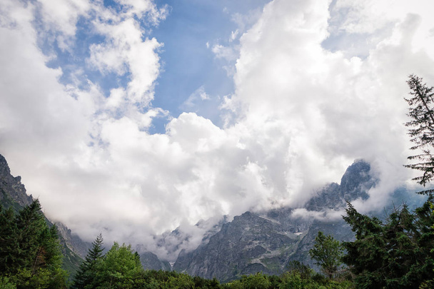 Сценический пейзаж. Татры и белые облака. Национальный парк. Польша
 - Фото, изображение