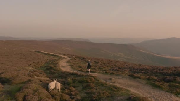 Luchtopnames volgen een jonge wandelaar langs het Peak District National Park, Verenigd Koninkrijk - Video