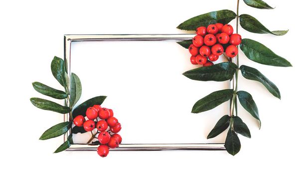 Rectangular frame decorated with rowan branches on a white background - Фото, зображення