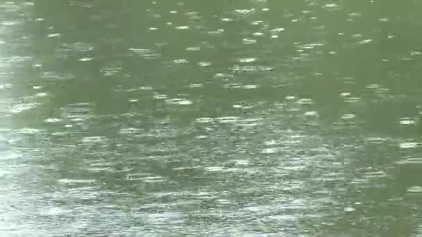 Rain drop víz felszínén a folyó - Felvétel, videó