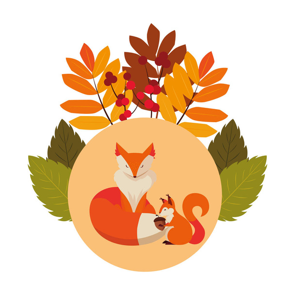 fox and squirrel happy autumn season design - Vector, Image
